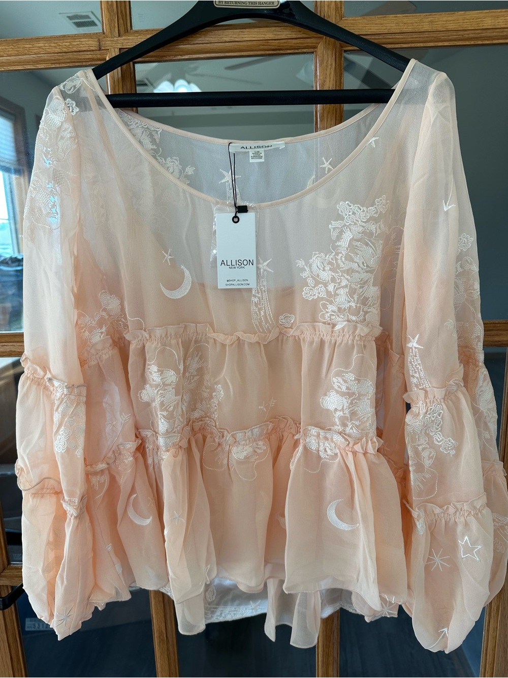 Allison Women's Blush Sheer Embroidered Peplum Blouse